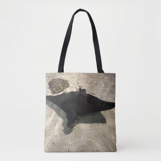 Stingray Draagtas (Voorkant)
