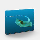 Stingray in motion! Gradient blue background |  Fotoblokken (Links)
