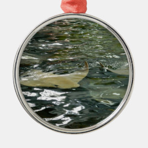 Stingray Metalen Ornament