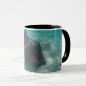 STINGRAY MUG (Devant droit)