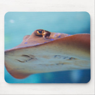 Stingray Muismat