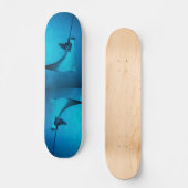 Stingray Skateboard (Recto)