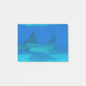 Stingrays Post-it® Notes (Voorkant)