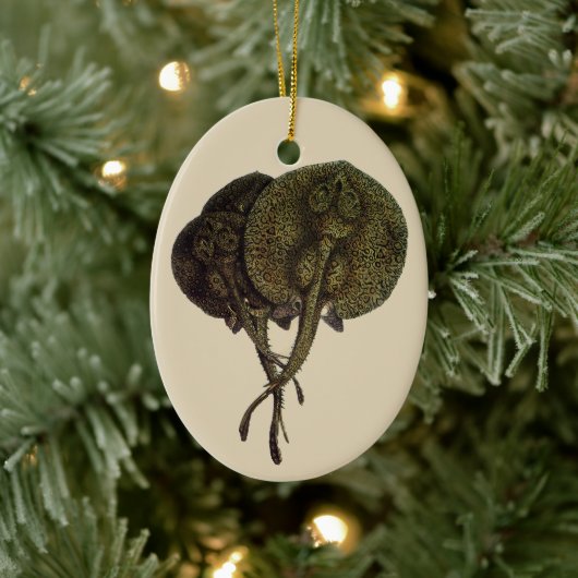 Stingrays, zeedieren Keramisch Ornament (Boom)