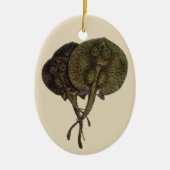 Stingrays, zeedieren Keramisch Ornament (Voorkant)