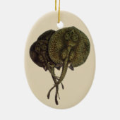 Stingrays, zeedieren Keramisch Ornament (Achterkant)