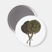  Stingrays, zeedieren Magneet (Voorkant / Achterkant)