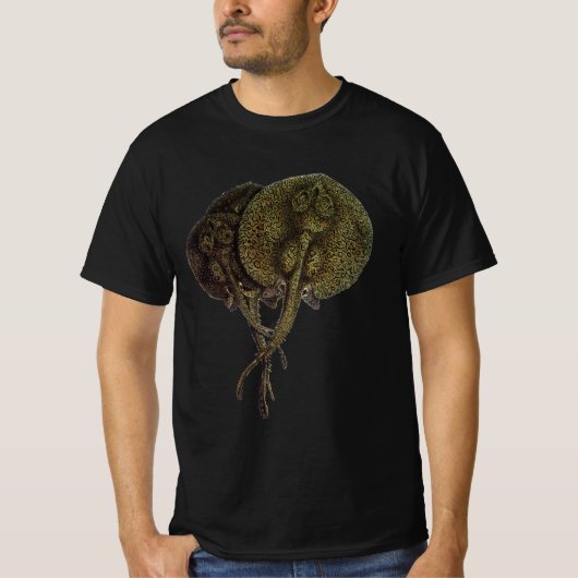 Stingrays, zeedieren T-shirt (Voorkant)