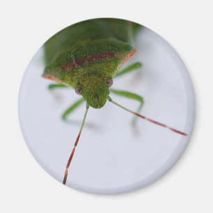 Stink Eye Magnet Magneet