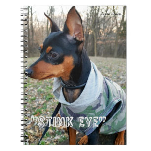 Stink Eye MInPin Notitieboek