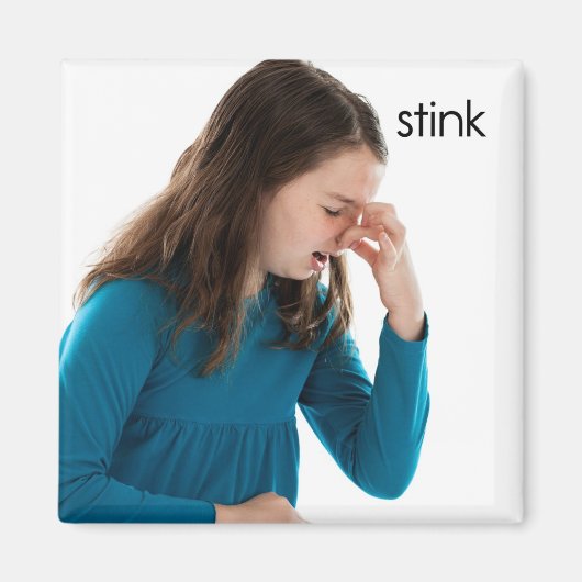 Stink Refkoelkast Magnet Magneet (Voorkant)