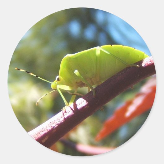 Stinkbeestje 216 ~ sticker (Voorkant)