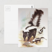 Stinkdieren in de sneeuw briefkaart (Voorkant / Achterkant)