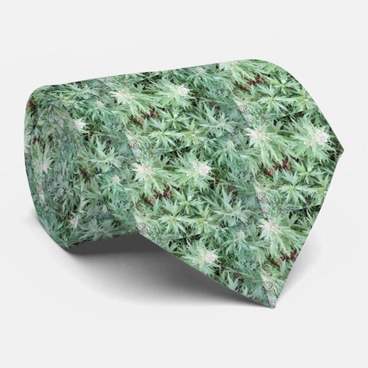 stinkende onkruid stropdas (Opgerold)