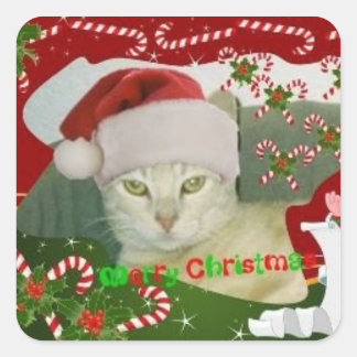 Stinky Eerste Kerstdag Vierkante Sticker