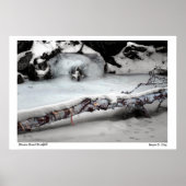 Stinson Brook Birchfall Poster (Devant)