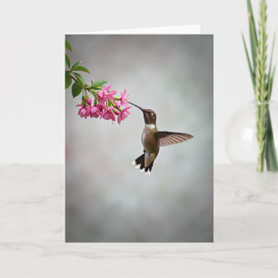 Stippelkolibrie Bloemkaart Kaart