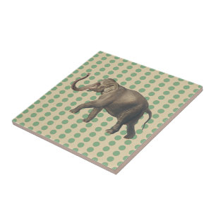 Stippen met lephant- met lephant tegeltje
