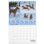 Stirling Irish Terriers 2021 Agenda Kalender (Jan 2027)