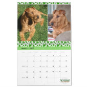 Stirling Irish Terriers 2021 Agenda Kalender (Mar 2027)