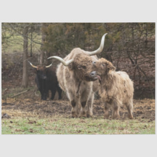 Stirling Skye Tissuepapier