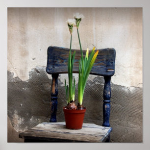 Stoel en ventilator Poster