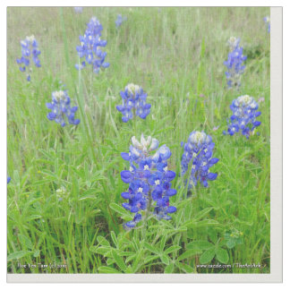 Stof - Blauwe knuppels