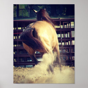 Stof opknappen poster