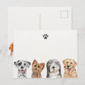 Stofhonden Briefkaart (Voorkant / Achterkant)