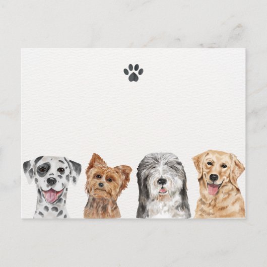 Stofhonden Briefkaart (Voorkant)