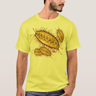 stofmijt t-shirt