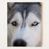 Stoic Gaze van de Alaskan Malamute Planner (Achterkant)