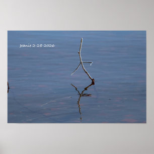 Stok in het water poster
