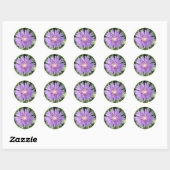 Stokes aster (Stokesia laevis) stickers (Vel)