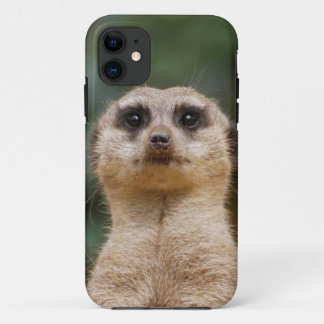 Stokstaartje 001 iPhone 11 hoesje