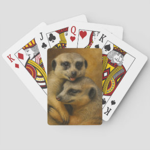 Stokstaartje Liefde Pokerkaarten