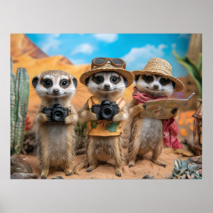 Stokstaartjes verkleed als toeristen met camera's poster