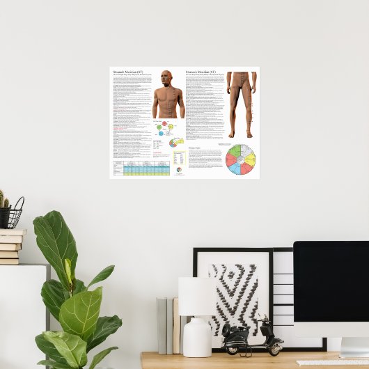 Stomach Meridian Acupuncture Points Poster (Thuiskantoor)
