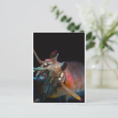 Stomatopod (Mantis-garnaal) Briefkaart (Staand voorkant)