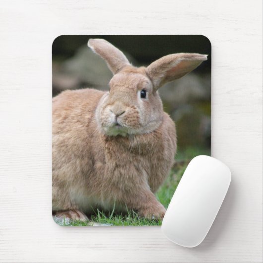 Stomme ginger bunny met grote oren muismat (Met muis)