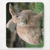 Stomme ginger bunny met grote oren muismat (Voorkant)