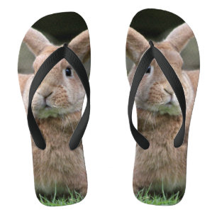 Stomme ginger bunny met grote oren teenslippers