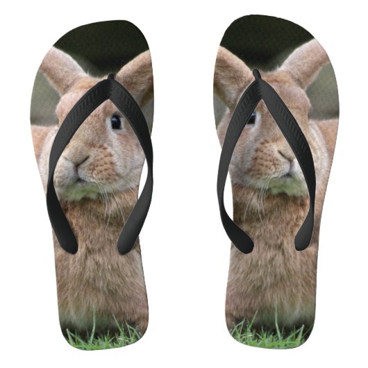 Stomme ginger bunny met grote oren teenslippers (Voetbed)