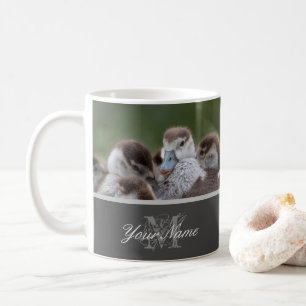 Stomme kleine goslings die samen als familie aan e koffiemok