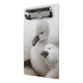 Stomme Swan Cygnets Mini Klembord (Angled2)