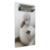 Stomme Swan Cygnets Mini Klembord (Schuin)