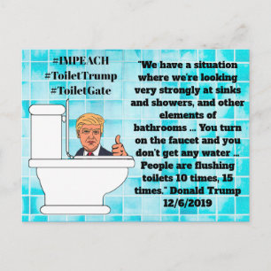 Stomme Trump Quotes, Flushing Toilets 15 maal Briefkaart
