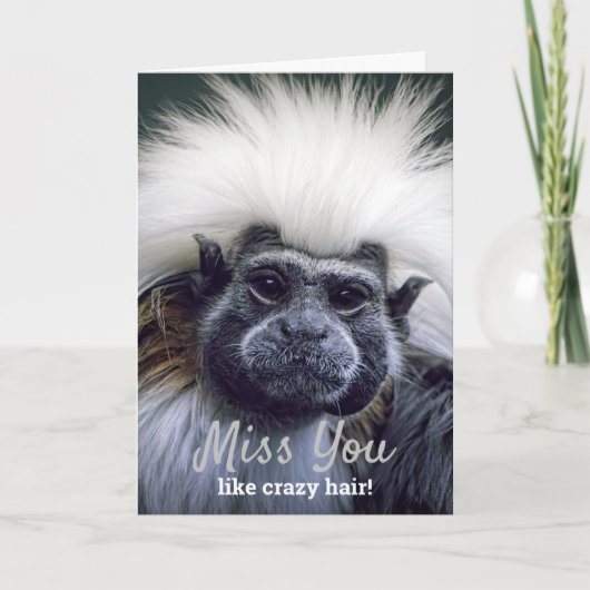 Stomme vermist je slechte haardag Tamarin-aap Kaart (Voorkant)