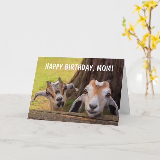 Stomme "Voor mam" Baby geit Birthday Kaart (Gele Bloem)