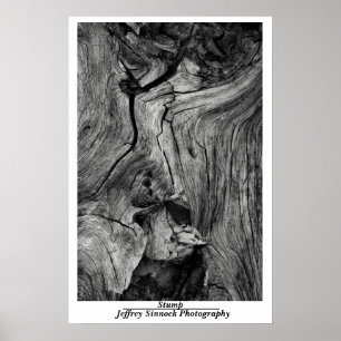 Stompen Poster